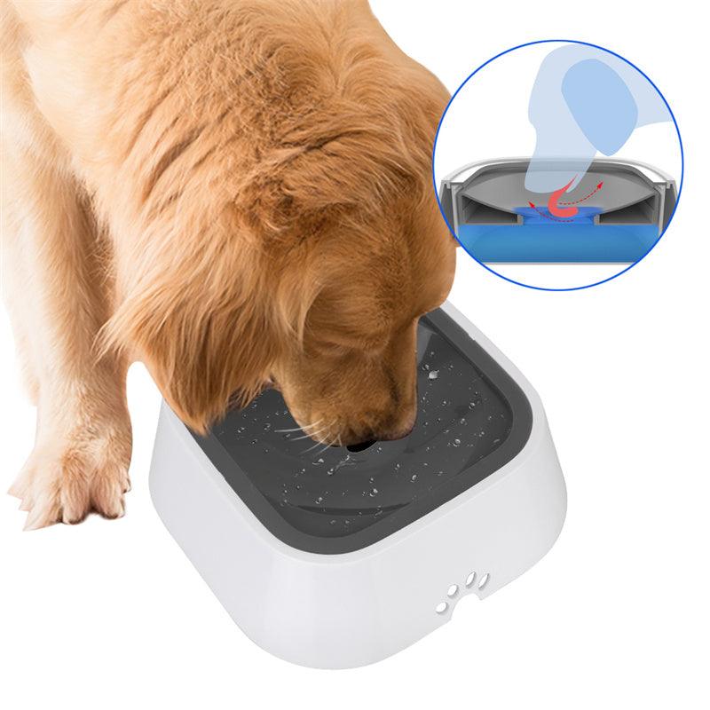 Slow Feeder Water Bowl